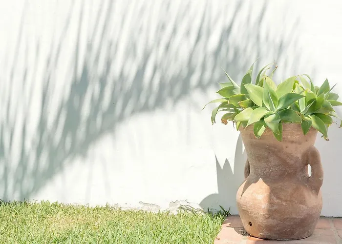 Conilsur Kır Evi Conil De La Frontera