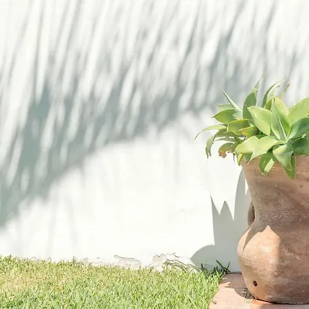 Conilsur Landhuis Conil De La Frontera