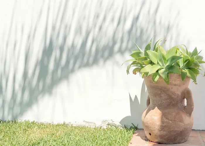 Conilsur * Conil De La Frontera