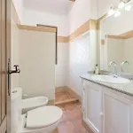 Gospodarstwo wiejskie Conilsur Conil De La Frontera